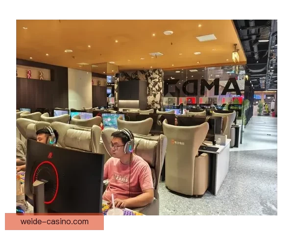 伟德真人娱乐带你体验最真实的在线博彩乐趣，尽享豪华游戏与丰厚奖金