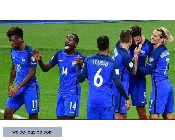 世界杯足球竞猜预测指南：如何分析球队实力与赛事动态提升准确率